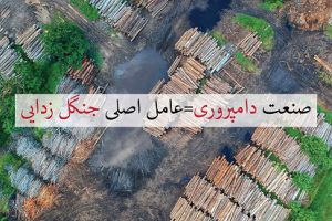 Read more about the article دانلود طراحی و لایه باز با موضوع: طبیعت، حیوانات، خام گیاه خواری و محیط زیست