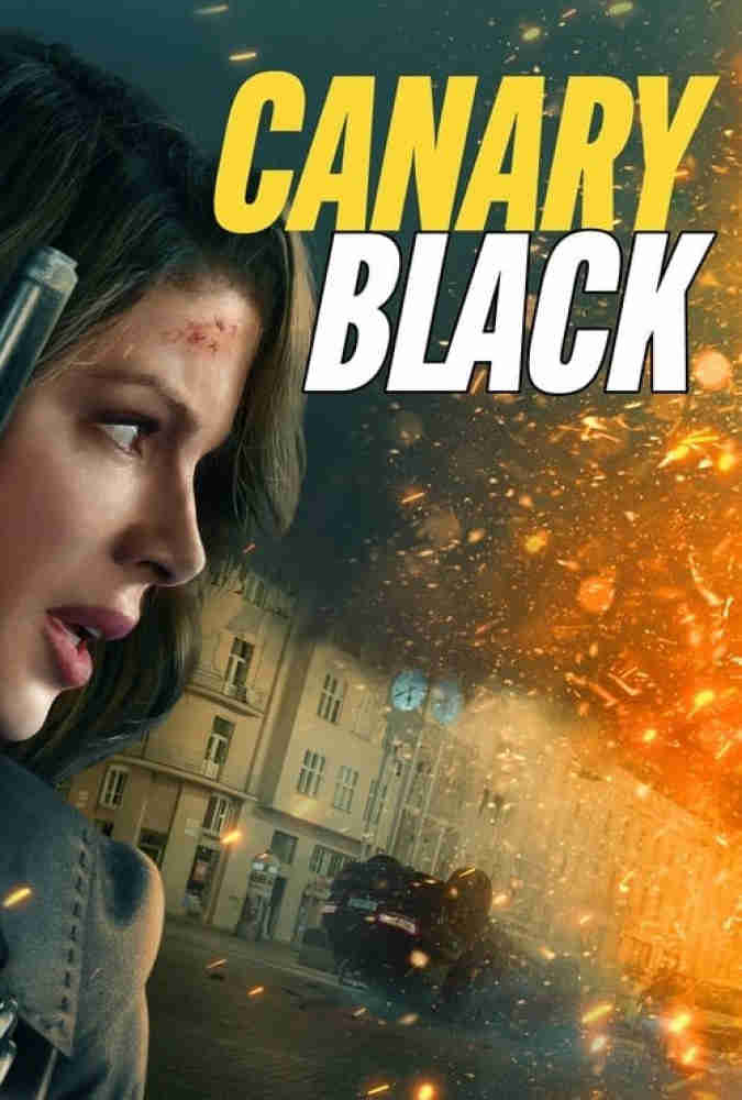 Read more about the article دانلود فیلم قناری سیاه Black Canary 2024